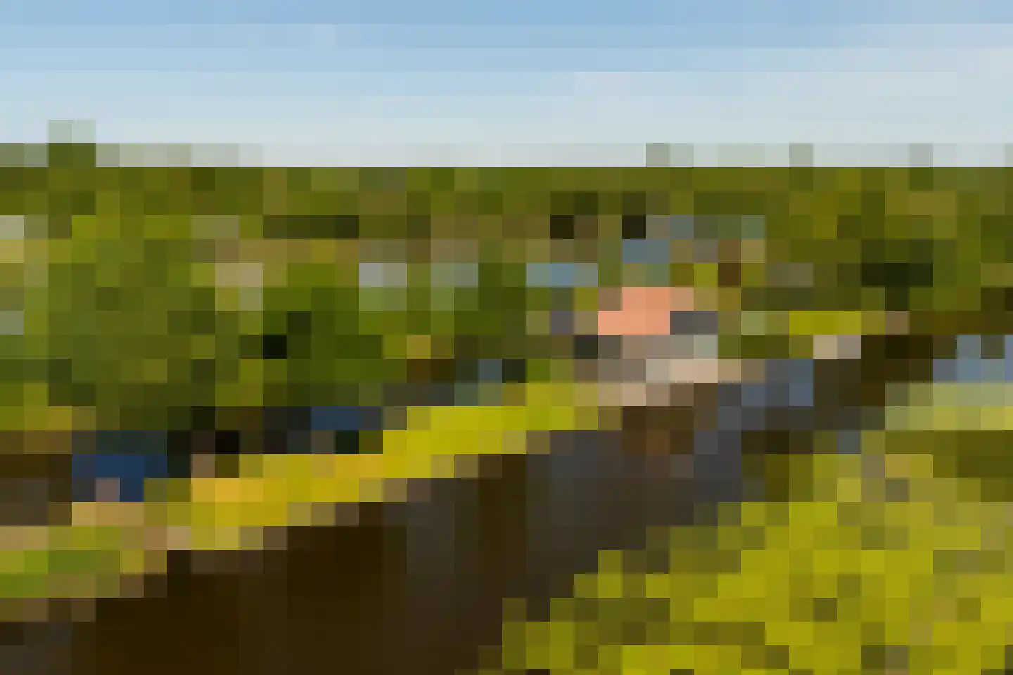 De Plassen Noord 66 Breukelen thumbnail 29