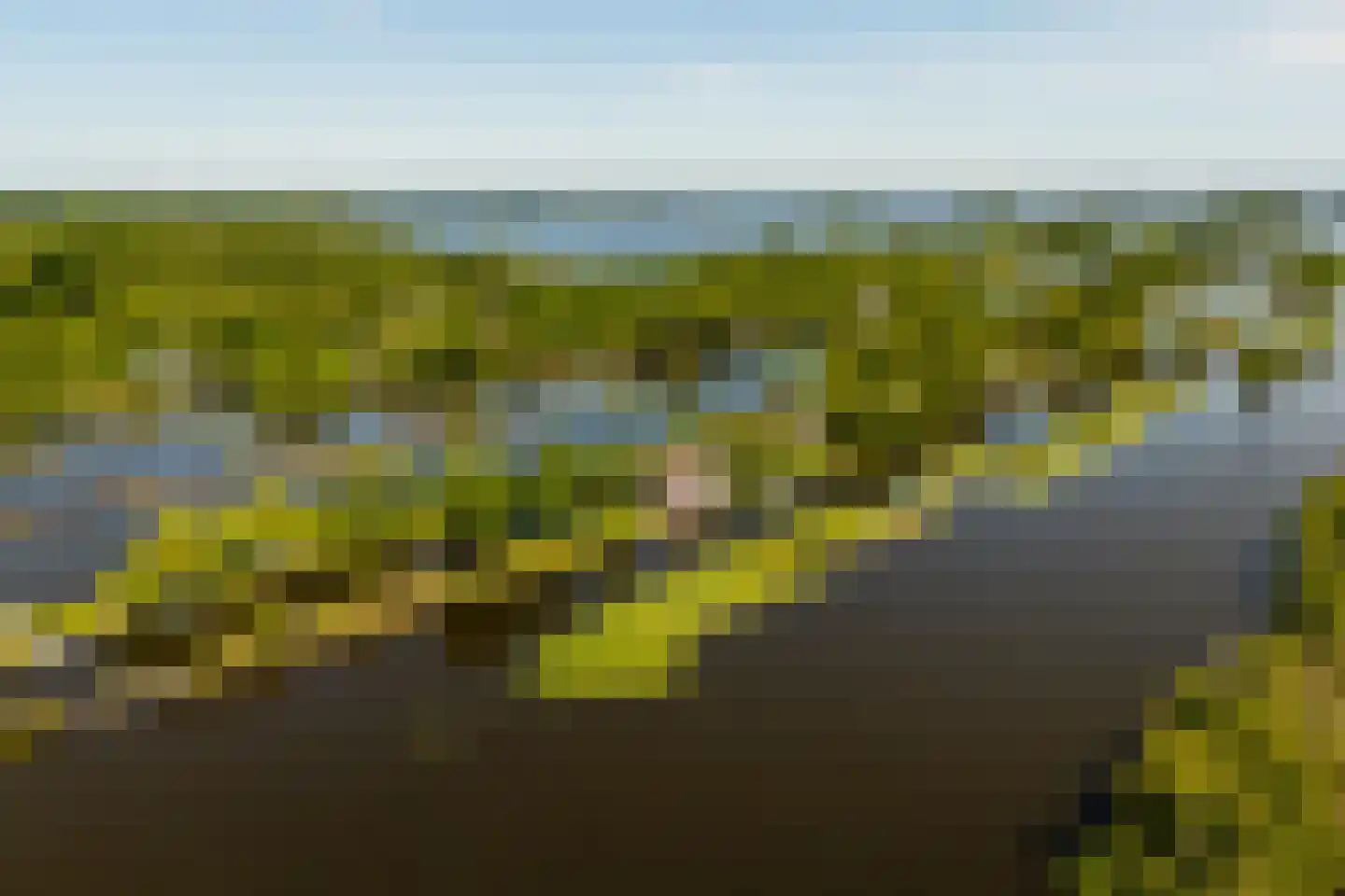De Plassen Noord 66 Breukelen thumbnail 31