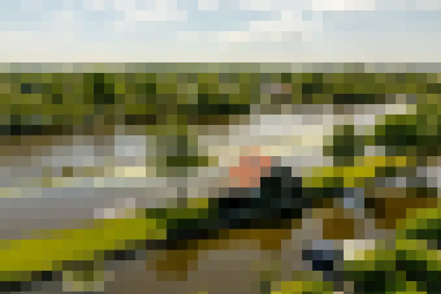 De Plassen Noord 66 Breukelen thumbnail 32