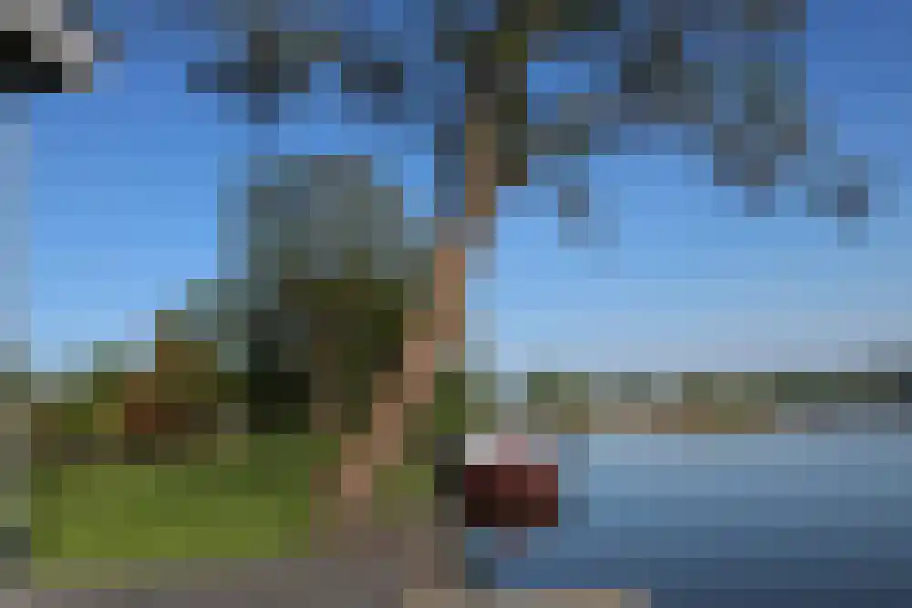 De Plassen Noord 66 Breukelen thumbnail 6