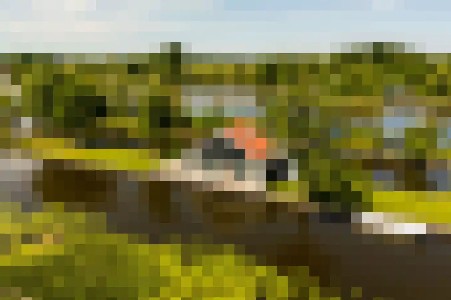 De Plassen Noord 66 Breukelen thumbnail 9