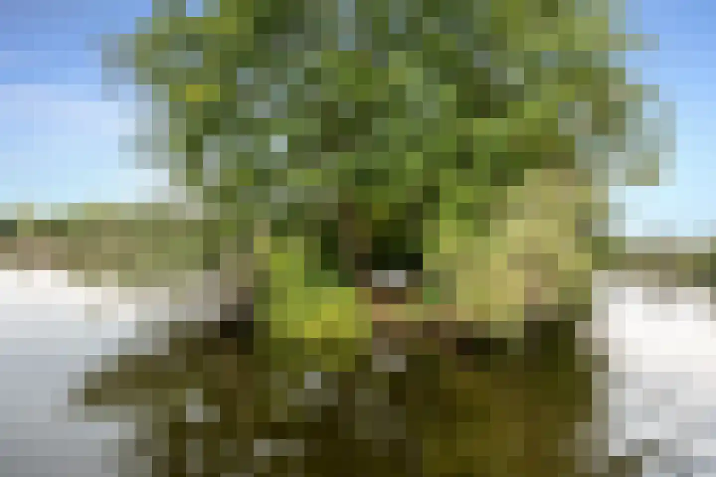 De Plassen Noord 76 Breukelen thumbnail 12
