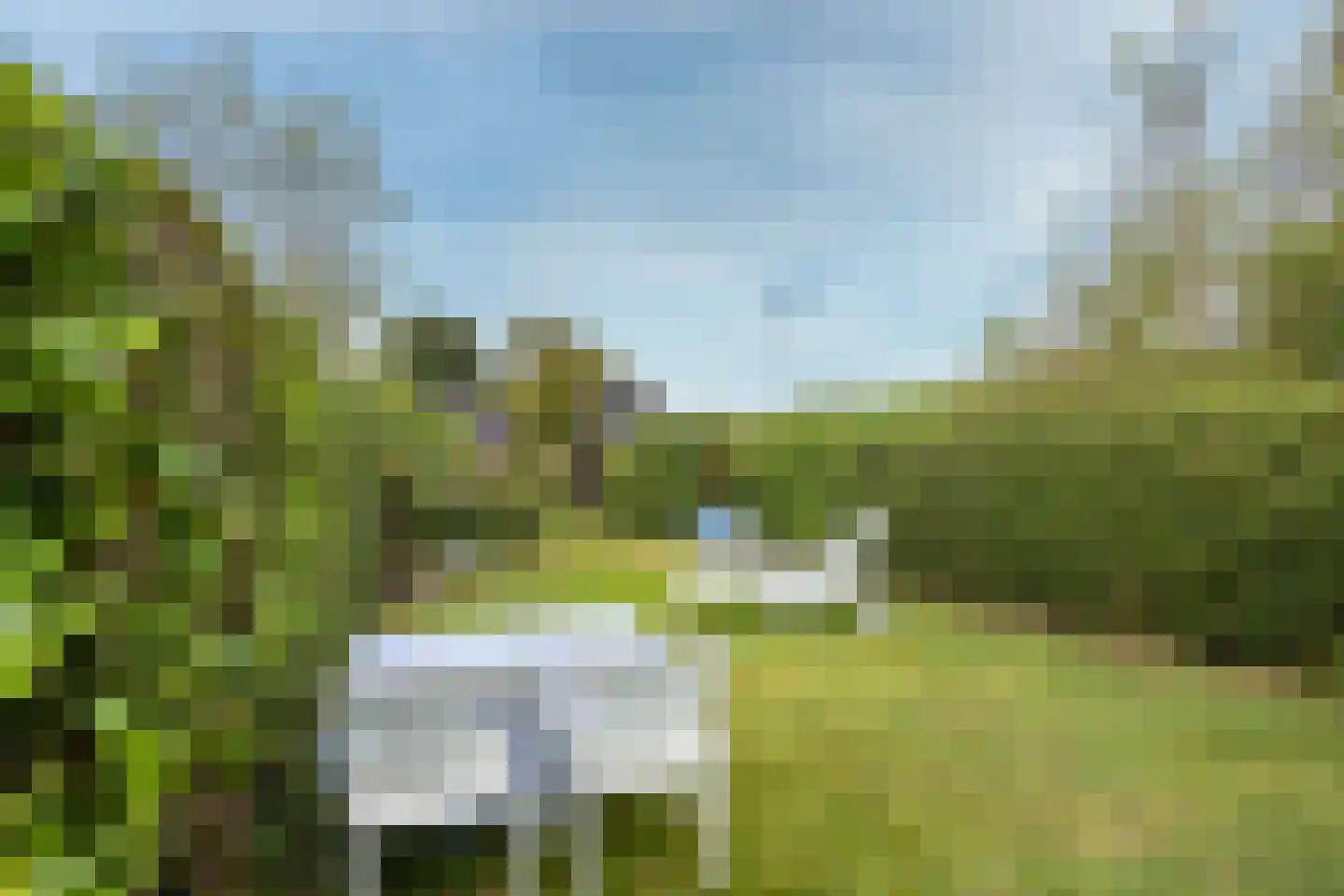 De Plassen Noord 76 Breukelen thumbnail 13