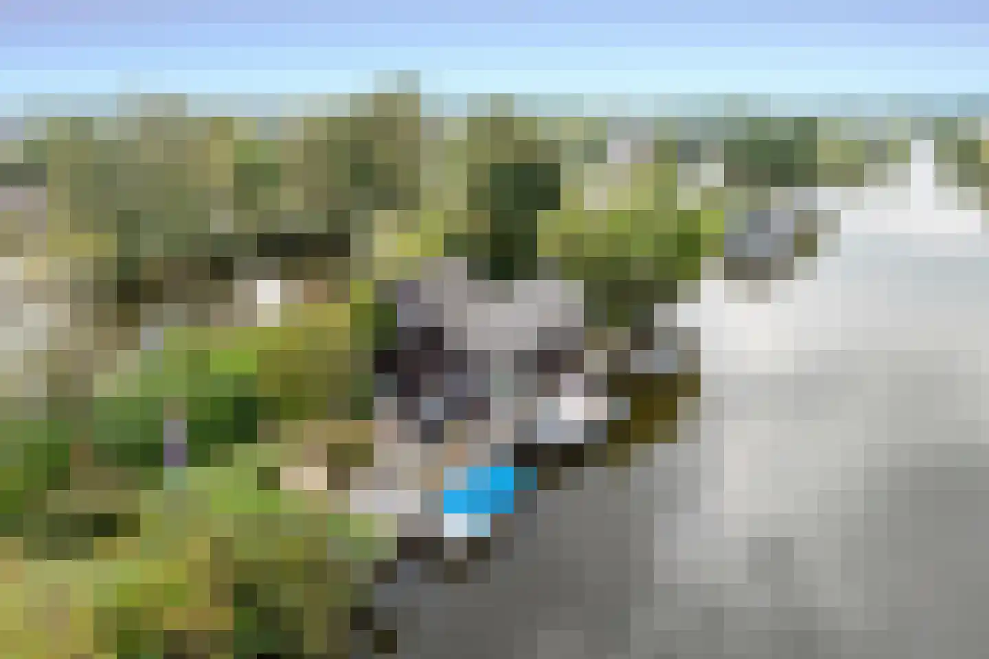 De Plassen Noord 76 Breukelen thumbnail 21