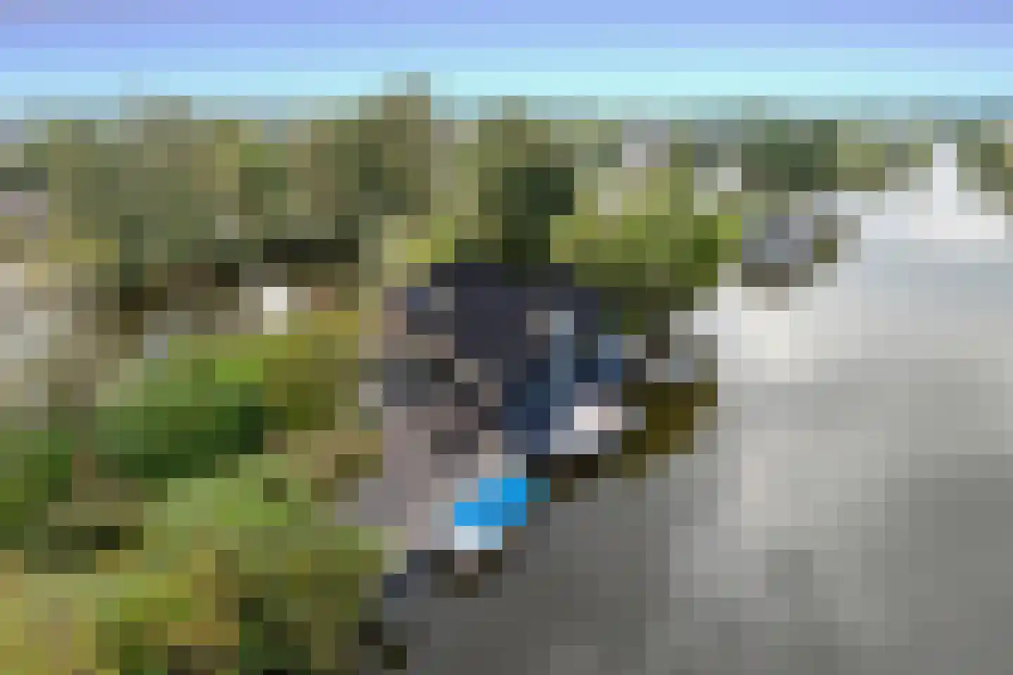 De Plassen Noord 76 Breukelen thumbnail 22