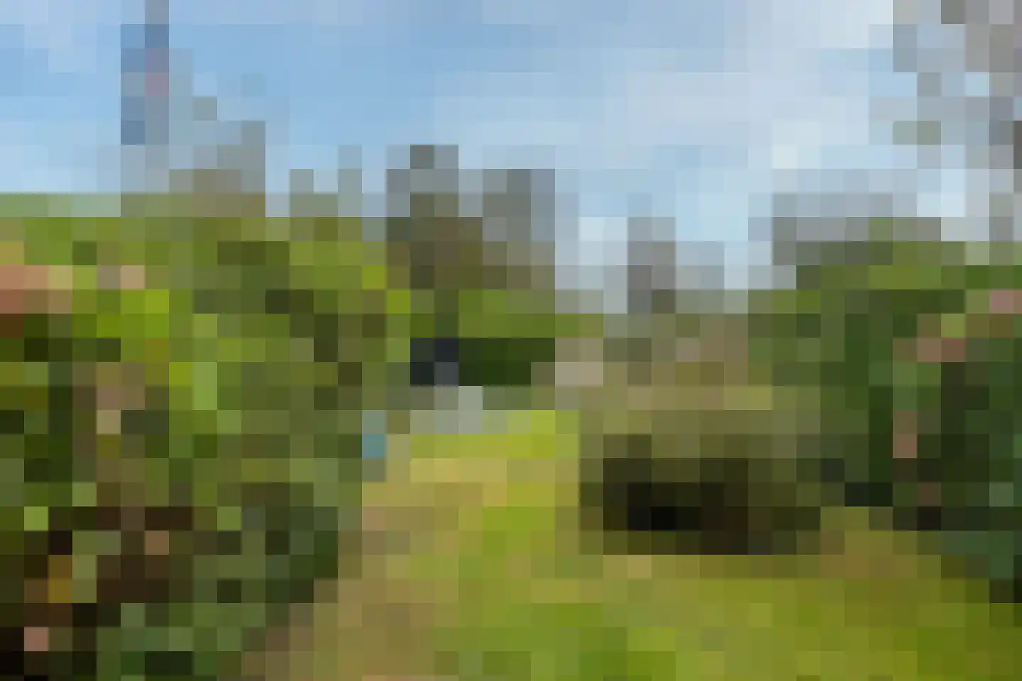 De Plassen Noord 76 Breukelen thumbnail 9