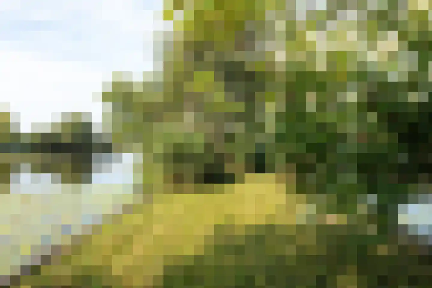 De Plassen Zuid 345 Breukelen thumbnail 10