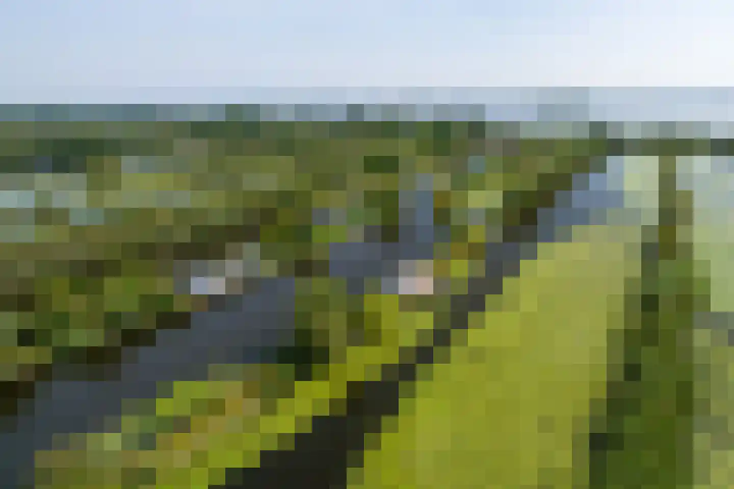 De Plassen Zuid 345 Breukelen thumbnail 23