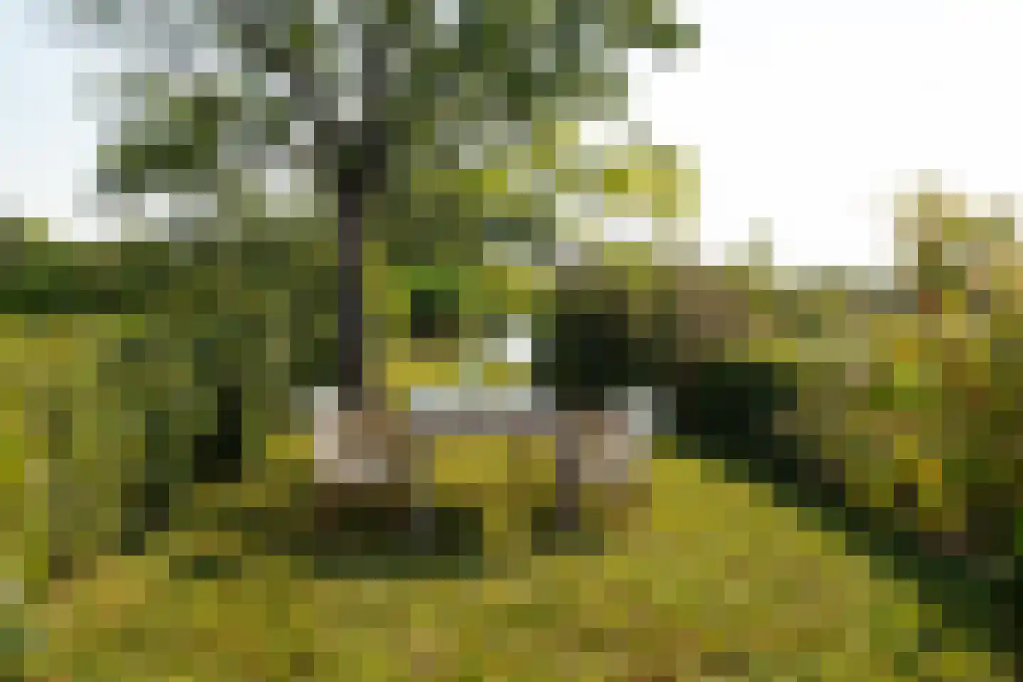 De Plassen Zuid 345 Breukelen thumbnail 5