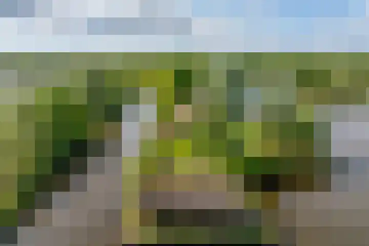 De Plassen Zuid 396 Breukelen thumbnail 27