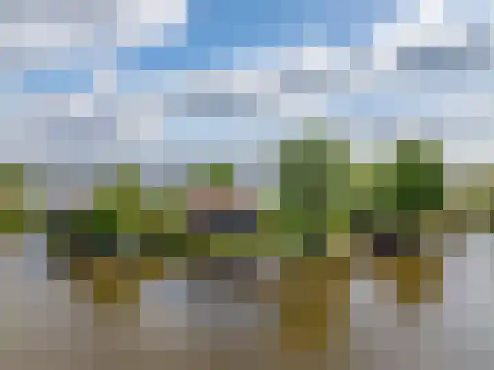 De Plassen Zuid 396 Breukelen thumbnail 30