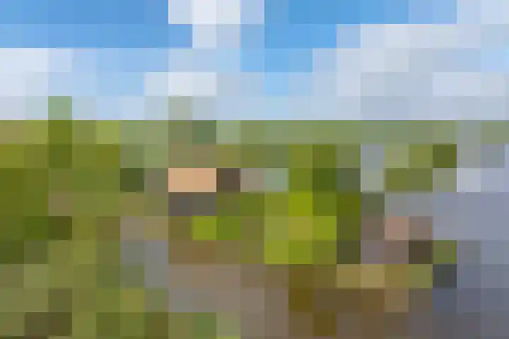 De Plassen Zuid 396 Breukelen thumbnail 4