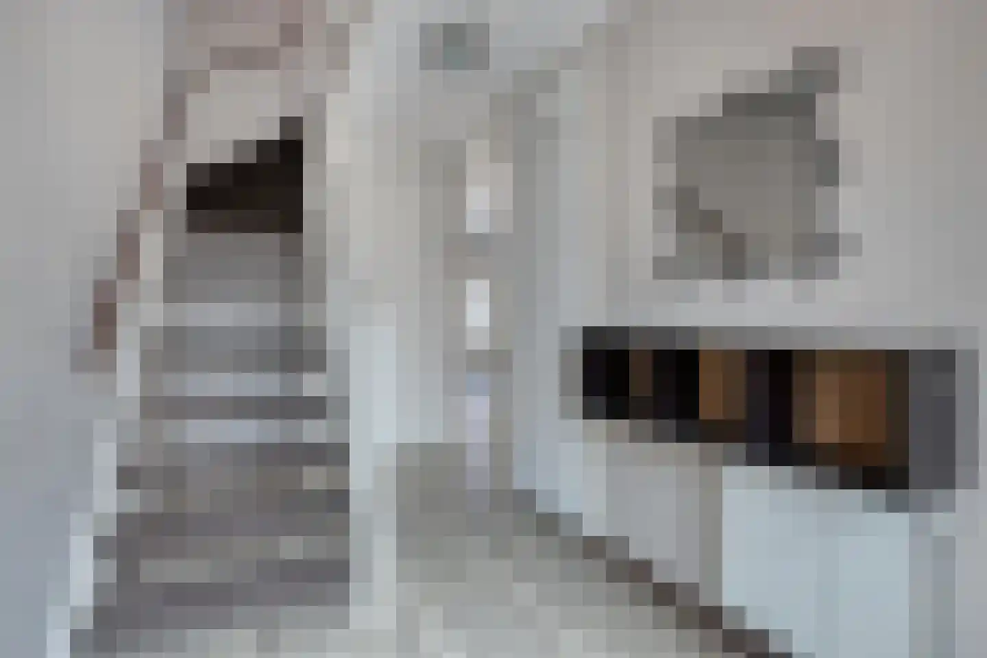 De Plataan 11 Rozenburg thumbnail 10