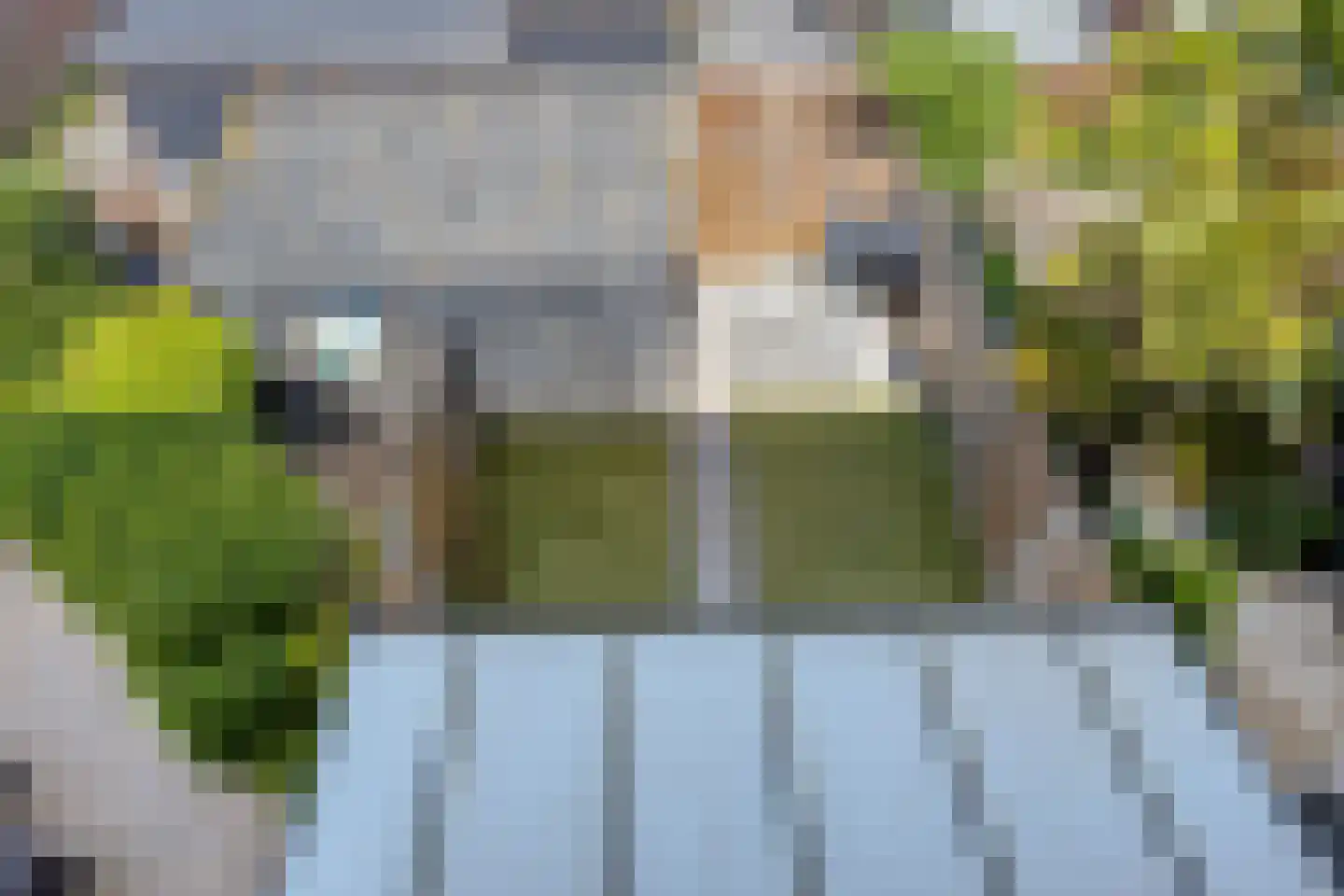 De Plataan 11 Rozenburg thumbnail 26
