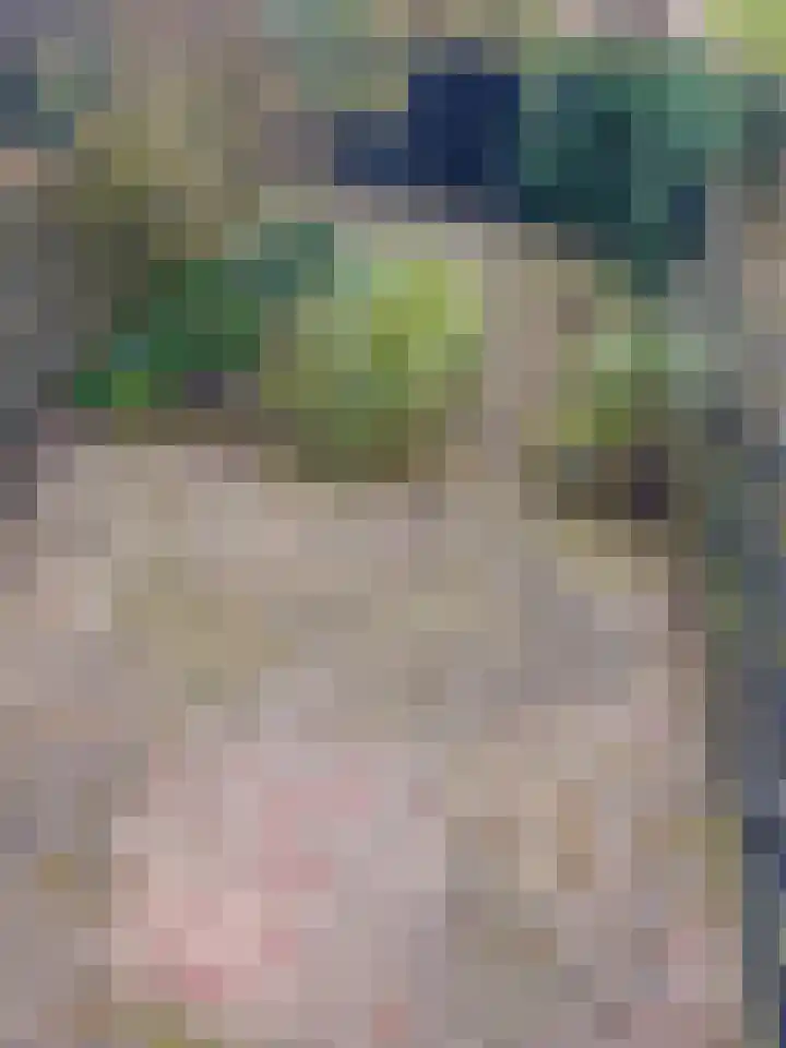 De Plataan 19 Duiven thumbnail 26