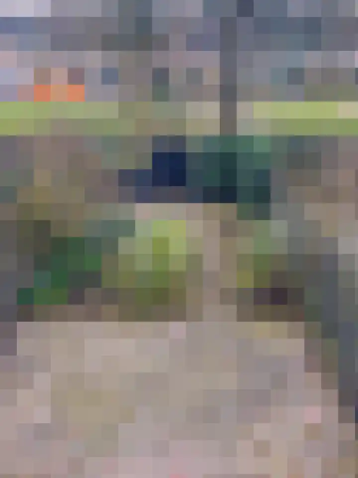 De Plataan 19 Duiven thumbnail 27