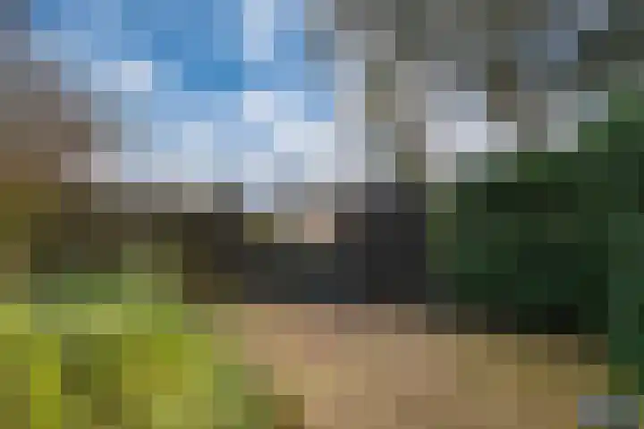 De Plataan 19 Duiven thumbnail 29
