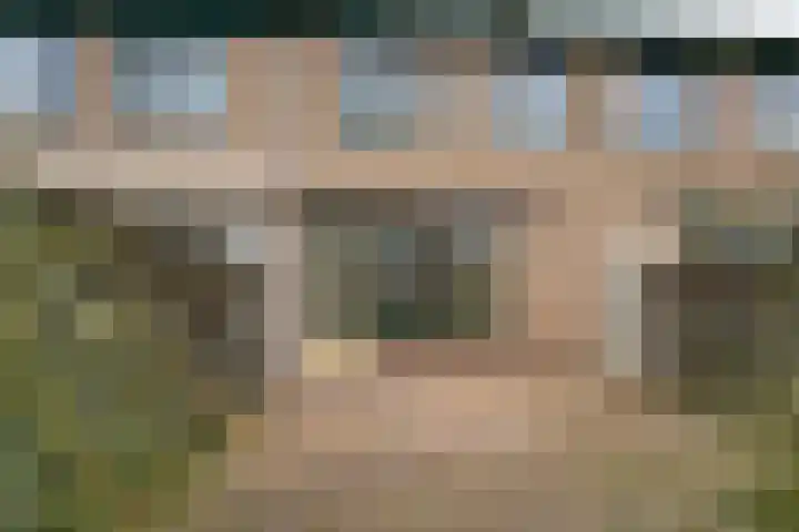 De Plataan 19 Duiven thumbnail 30