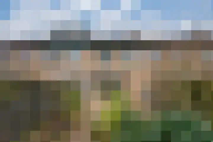 De Plataan 19 Duiven thumbnail 31