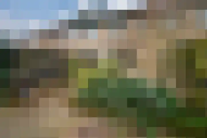 De Plataan 19 Duiven thumbnail 32