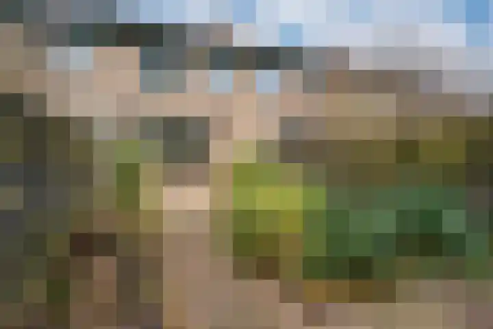 De Plataan 19 Duiven thumbnail 34