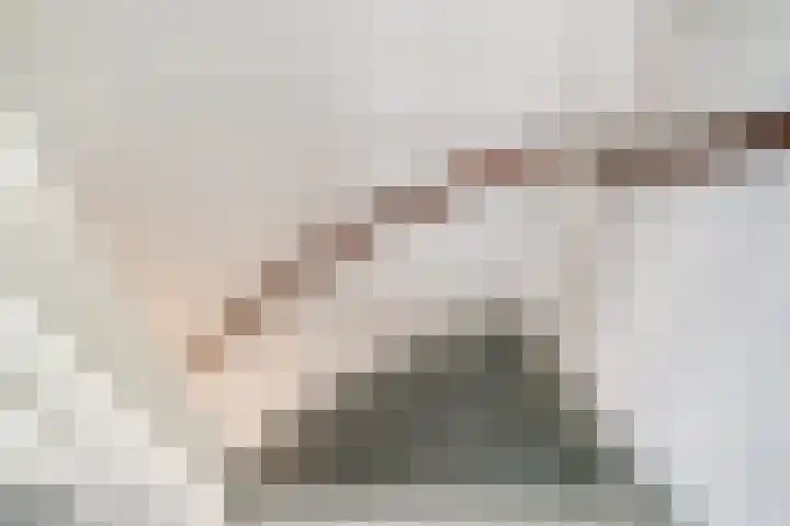 De Plataan 19 Duiven thumbnail 35
