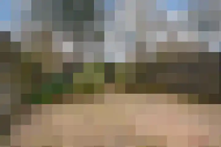 De Plataan 19 Duiven thumbnail 4