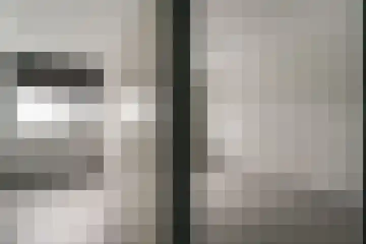 De Plataan 19 Duiven thumbnail 40