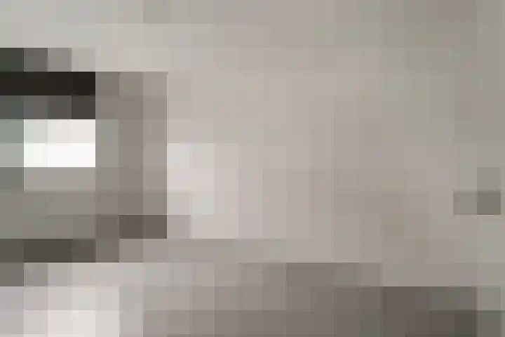 De Plataan 19 Duiven thumbnail 41