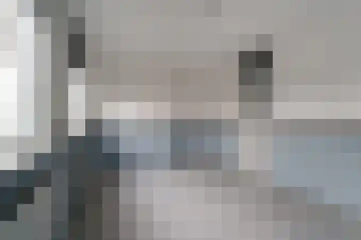 De Plataan 19 Duiven thumbnail 47
