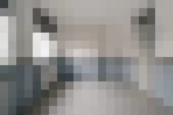 De Plataan 19 Duiven thumbnail 49
