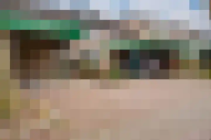 De Plataan 19 Duiven thumbnail 5