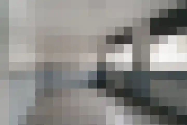 De Plataan 19 Duiven thumbnail 50
