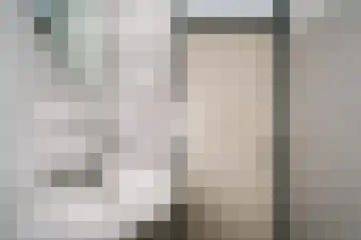 De Plataan 19 Duiven thumbnail 52