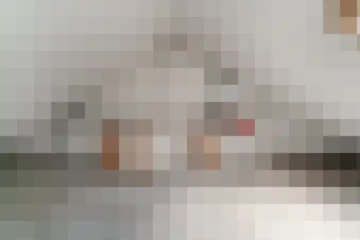 De Plataan 19 Duiven thumbnail 59