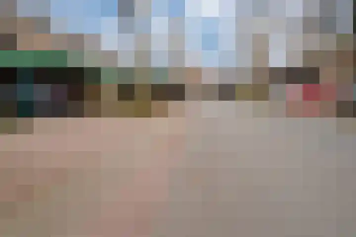 De Plataan 19 Duiven thumbnail 6