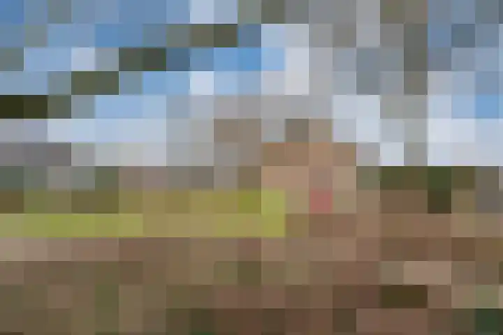 De Plataan 19 Duiven thumbnail 62