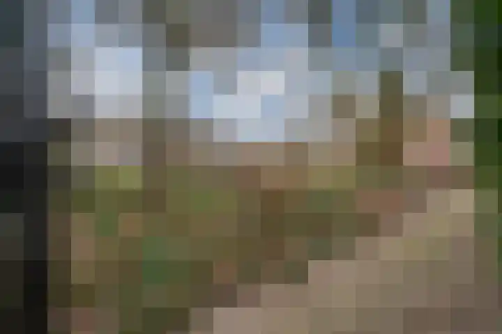 De Plataan 19 Duiven thumbnail 63
