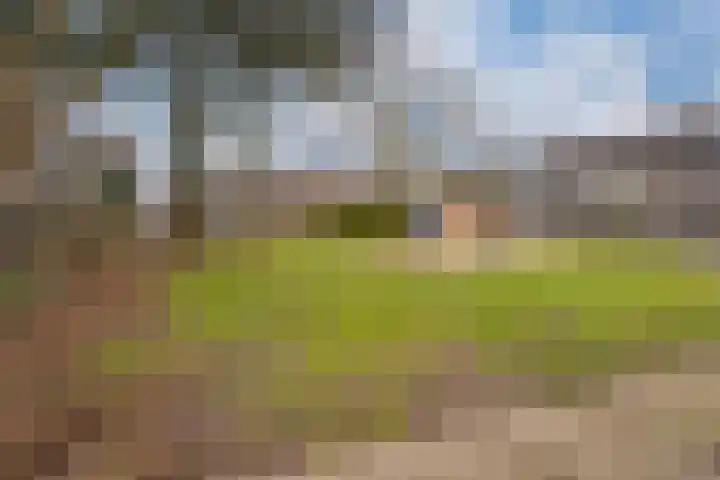 De Plataan 19 Duiven thumbnail 64