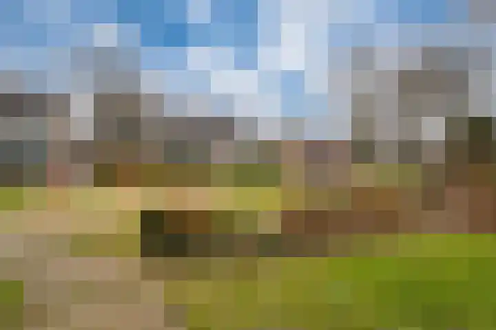 De Plataan 19 Duiven thumbnail 65