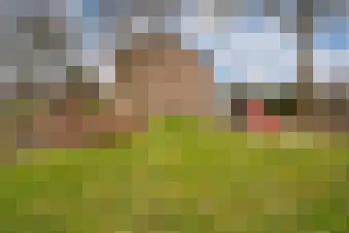 De Plataan 19 Duiven thumbnail 66