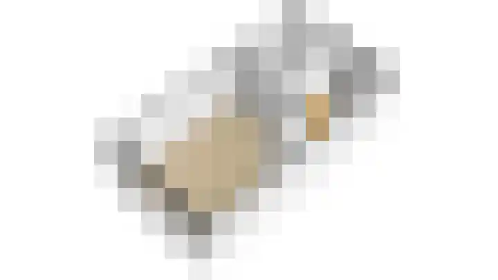 De Plataan 19 Duiven thumbnail 68