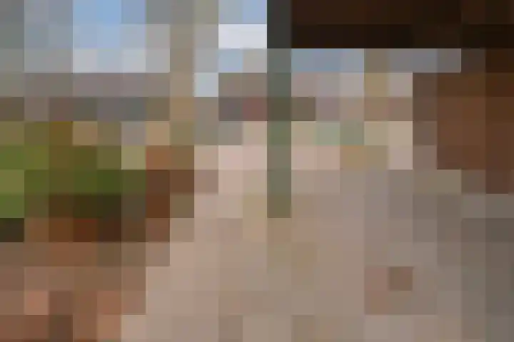 De Plataan 19 Duiven thumbnail 7