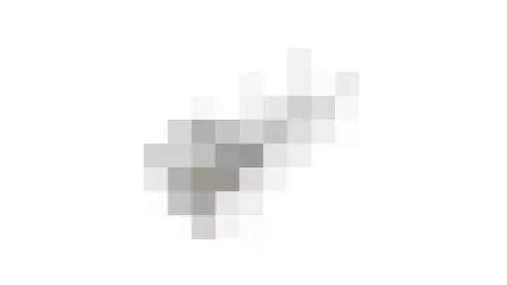 De Plataan 19 Duiven thumbnail 77