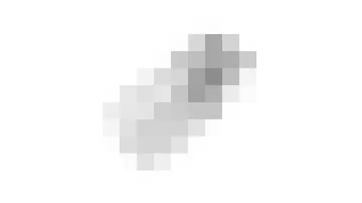 De Plataan 19 Duiven thumbnail 78