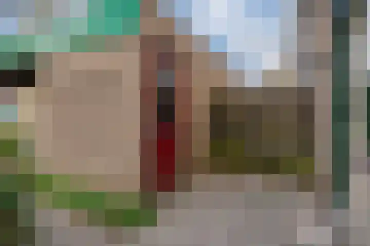 De Plataan 19 Duiven thumbnail 8