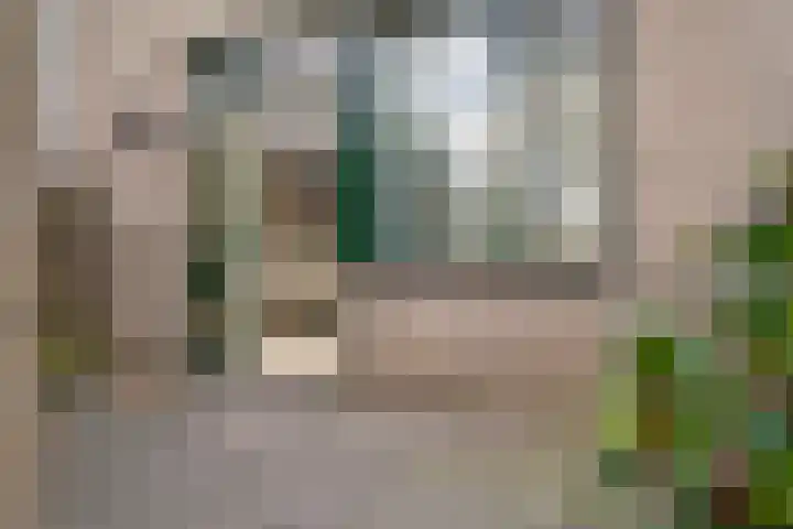 De Plataan 19 Duiven thumbnail 9