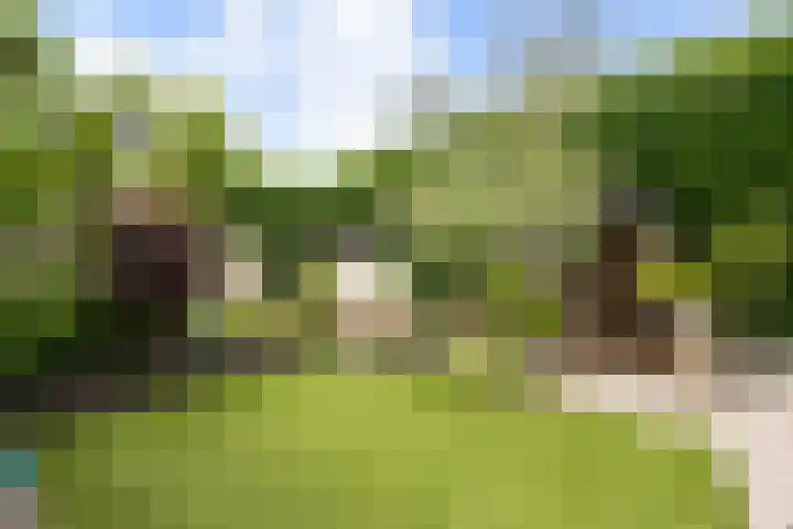 de Plataan 90 Didam thumbnail 14