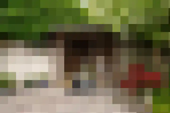 de Plataan 90 Didam thumbnail 16