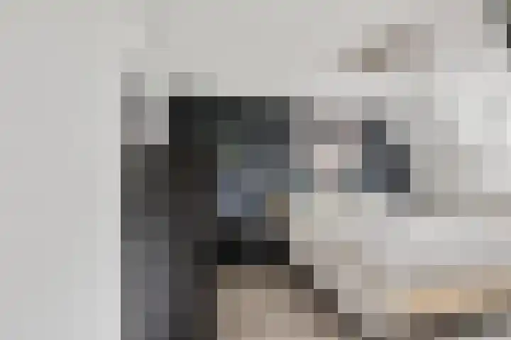 de Plataan 90 Didam thumbnail 19